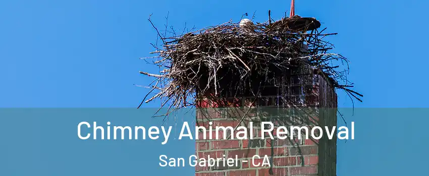 Chimney Animal Removal San Gabriel - CA