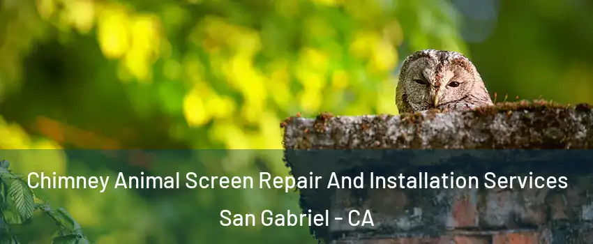  Chimney Animal Screen Repair And Installation Services San Gabriel - CA