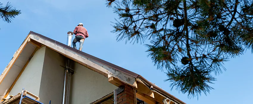 Birds Removal Contractors from Chimney in San Gabriel, CA